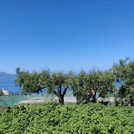 Апартаменты Bilocale Il Nido *