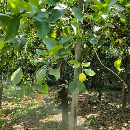 Bilocale Il Nido * Масса-Лубренсе